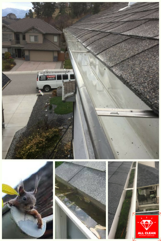How to Find a Gutter Cleaning Company Near Me in Edmonton ...