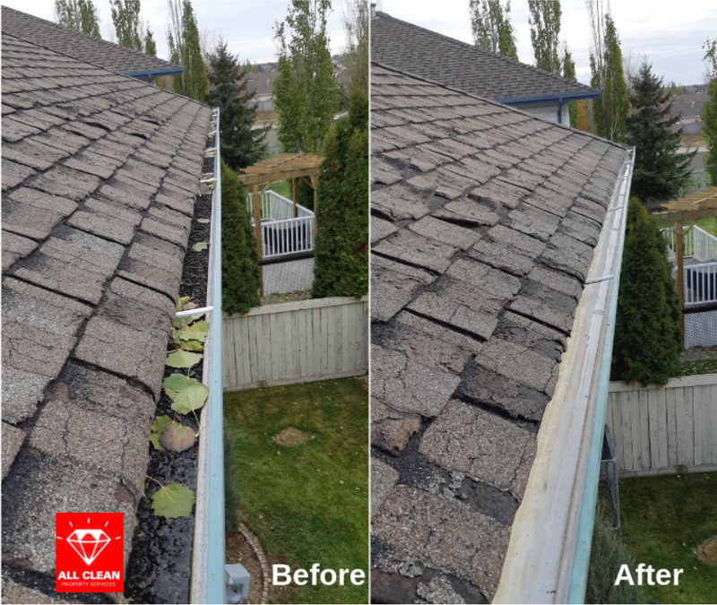 Before / After Photo of Gutter