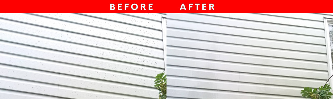 Before / After Photo of Siding